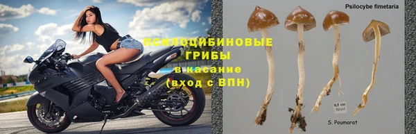 спиды Бутурлиновка