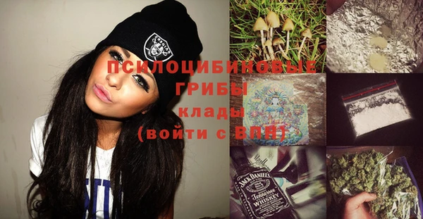 PSILOCYBIN Ветлуга