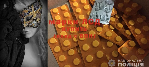PSILOCYBIN Ветлуга