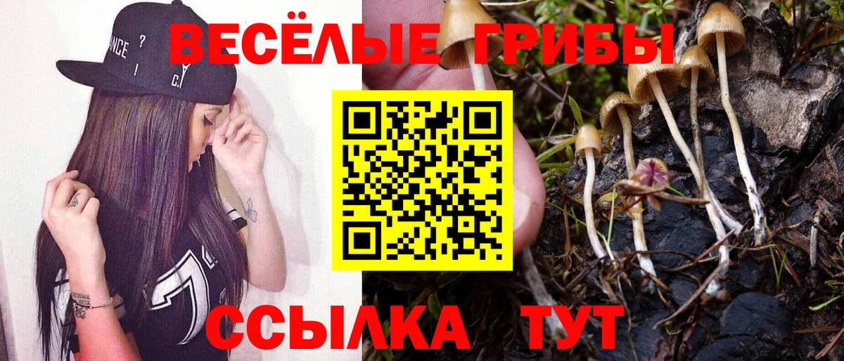 Галлюциногенные грибы мухоморы  Вход с VPN  наркотики  Карасук 