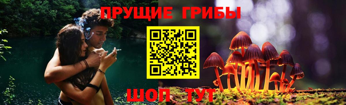 Псилоцибиновые грибы мухоморы Карасук