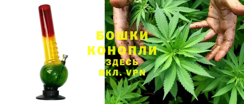 где продают наркотики  Карасук  OMG ТОР  Каннабис план 